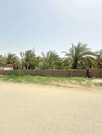 ٢ دونم • طابو ملك صرف • شارع ٦٠