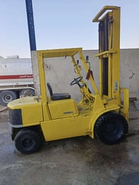 رافعة شوكية • الرمادي