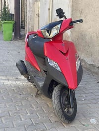 ثعلب • معدل • كلج امامي