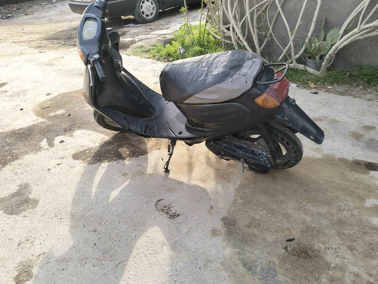 دراجه منغولي للبيع للأستفسار ***********
