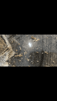 مكتب ابو علي الشمري لمكافحة الارضة المسماة بالنملة البيضاء بكادر مختص وبأجهزة ومواد فايروسية ناقلة العدوة امريكية المنتج ***********   علماً عملنا في جميع المحافظات  م̷ـــِْن فنادق ومجمعات سكنية وشقق وبيوت زراعيه. اكثر اسباب ظهور الارضة هي
1/رطوبة شديدة في فصل الصيف 
2/كثرة النفايات القريبة على منزل 
3/عدم رش الاساس للمنزل بمادة فايروسية 
4/استخدام المبيدات ذات نوعية سيئة المنشئ
5/استخدام مادة مهيجة الارضه اي الماده العطريه الكلوردين نفط ومشتقاته بل كامل 
✅مع مكتب الشمري للمعالجة الارضة.   بكادر مختص ذو خبرة عالية.  وبضمان 5.  سنوات 🌹
