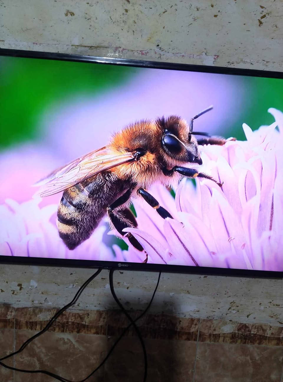 شاشه هيرو حجم 43 شغاله علي احسن مايكون بلانت كربلاء كربلاء, العراق


**إذا كنت صاحب هذا الإعلان وتريد حذفه لأي سبب، رجاءا أرسل رسالة إلى الدعم الفني**