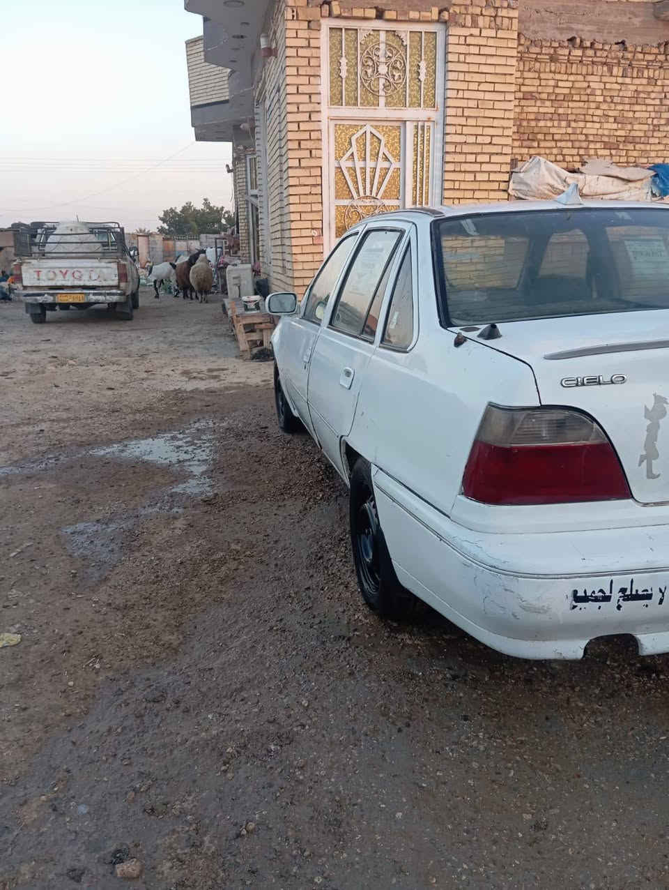 السلام عليكم
دايو سلو 94 رقم ديالى الماني مشروع وطني تحويل بكل المحافظات
مكينه 1600مفتوح المرغوبه كير عادي
بدي مابي ضربه صافي وكلش حلو
دواخلها كلش حلوه دوشمه جديده
كاعيات جدد شاشه بالدشبول وسستم صوت / حداديه 80% تخم تاير نظيف
مكينه بيها بخار قليل من القبق فقط بدون تنقيص كير مكفول تراي وين مايعجبك
السياره عليها ادامه كامله
(فيت بم نوزلات بلكات تنظيف جويتر)
السعر 18 ورقه وبيه مجال لطيبين
عنواني ناصريه قضاء الشطره
***********
