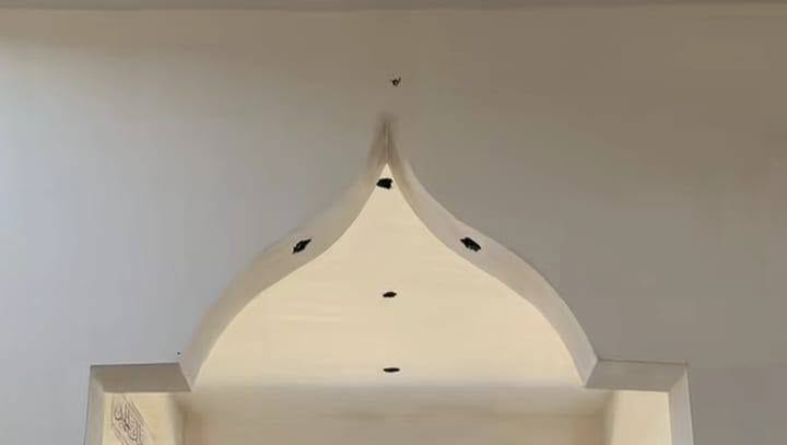 خلفه ابياظ متفرق حالين شغل درجه اولئ ***********
