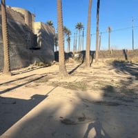 ٥٥٠م • زراعي • الجسر الفرنسي