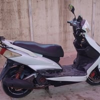 سكنس فحل • ٢٠٠٨ • اوراق جاهزة