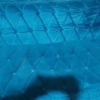 قنفات تفصيل تركي • ٤ قطع • حي الاصدقاء