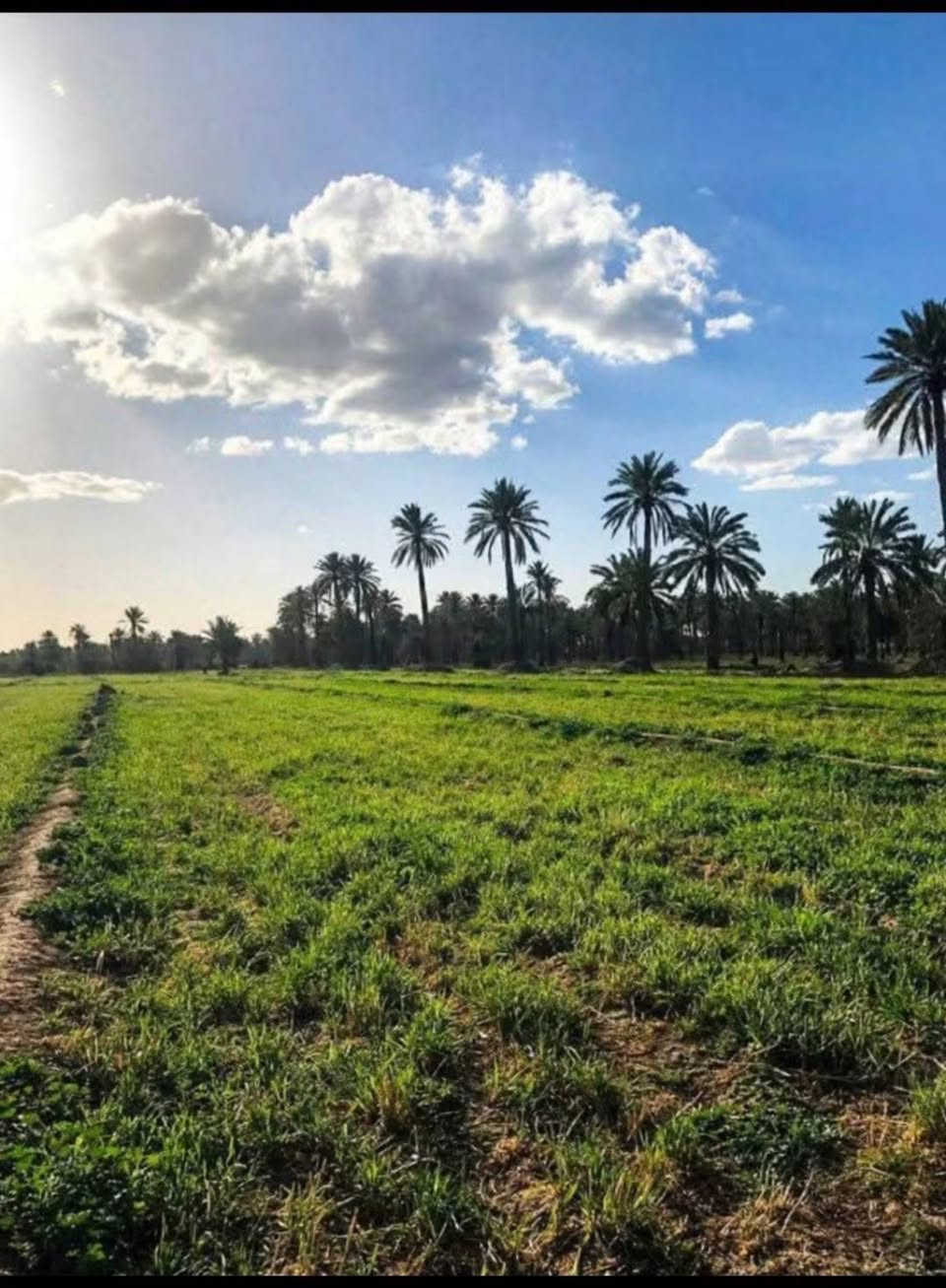 🔥🔥 فرصة ذهبية للاستثمار والسكن 🔥🔥

املك أرض طابو بمساحة 2500 متر وبسعر 8 مليون فقط 💰🏡

ضمن مساحة 10 دونم، والبيع من دونم واحد فما فوق ✅

💧 خدمات كاملة:

🚜 ماء سقي

💦 ماء إسالة

⚡ كهرباء

🌳 يمها مزارع وسكن وبساتين وكل الخدمات اللازمة، غير الراحة النفسية والهدوء والهواء النقي بعيداً عن الزحام.

📐 وجه الدونم 50 × 50 متر مربع

📍 العنوان: بغداد - التاجي - بجانب مرقد بنات الحسن

📞 للاستفسار:

***********
***********

#بغداد #التاجي #اراضي_للبيع #ارض_طابو #عقارات #استثمار #استثمار_عقاري #بساتين #مزارع #العراق #بيع_اراضي #عقار #فرصة_استثمارية #اكسبلور #ترند #للبيع #بغداد_التاجي
