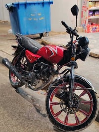 شاينك • ٢٠٢٤ • نضيف