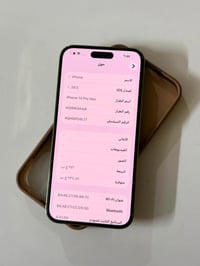 ذهبي • ٢٥٦ • مبدل الظهر