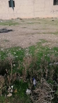 مجمع الكرار باشبيتا • ٣٠٠م • واجهه ١٥م