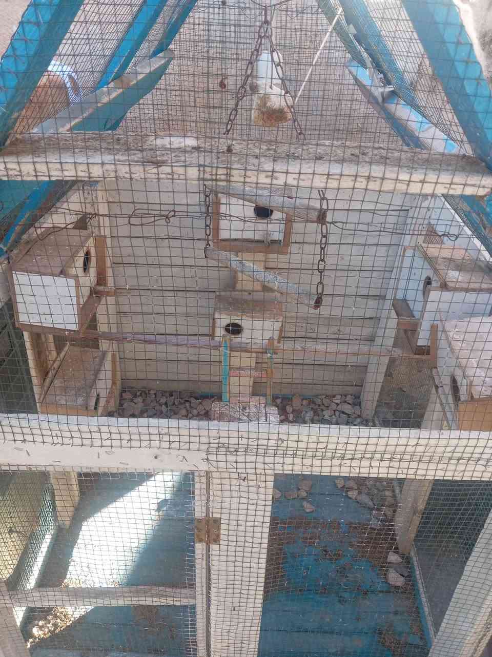سلام عليكم قفص البيع مرتب وثقيل سعرها مناسب 35الف مكلف بنشر

