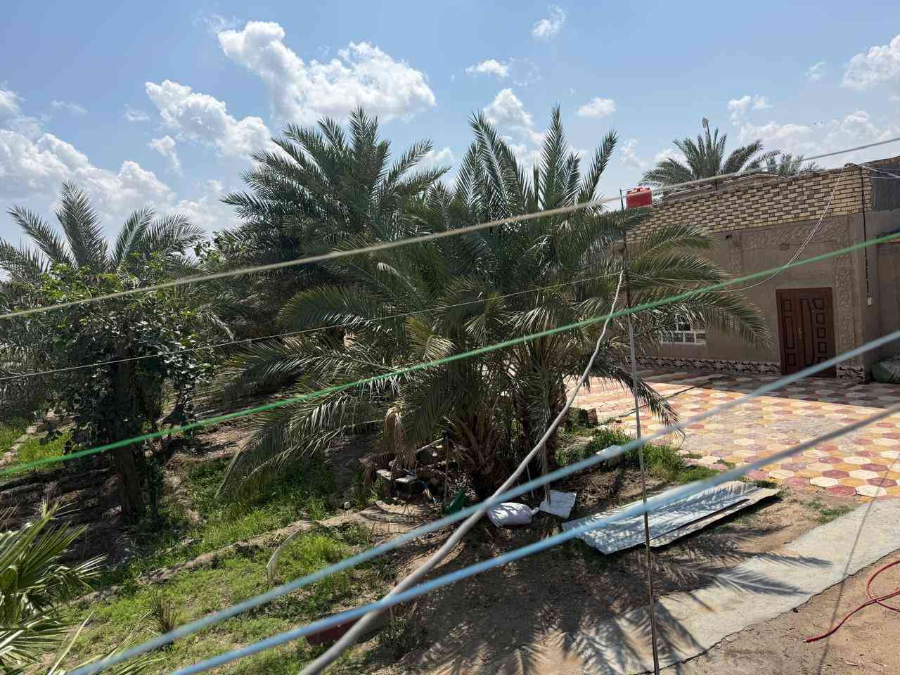 بستان للبيع--ال محينة نزلة الغافلية قرب مدرسة الإمام الباقر:(السعر 220)وبيه مجال

يحتوي بيت عدد 2 ، مساحة كل بيت 300م

1-البيت الاول(صاله عدد 2,غرف عدد3+صيحات)
*البيت نص بناء طابوق ونص الثاني بلوك كهربائي 
*تأسيس ماء جديد و صحيات شرقي وغربي

.
2-البيت الثاني(صاله عدد2+غرف عدد3+مطبخ) 
*البيت بالكامل بناء بلوك كهربائي اصلي
*تأسيس ماء وكهرباء جديد شرقي وغربي

.
البستان يحتوي على 40نخله مثمره منوعه+مختلف أنواع أشجار الفاكهة +حدائق عدد 2 +3مساحه لبناء البيوت 
.
الاستفسار على الرقم 
***********
