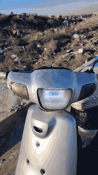 بوتين • نظيف • صلاح الزراعي