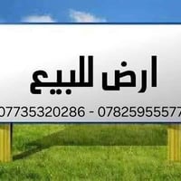 السعر 53 مليون فقط