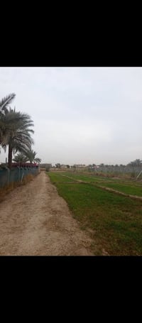 ارض زراعية • دونم ونص • شارع ١٠٠