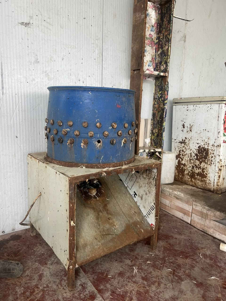 هلاسه ججاج للبيع شقاله مابيهه شي مكان البصره قضاء الدير *********** سعرهه مناسب
