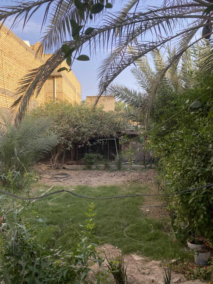 دار مع ارض للبيع
العنوان بغداد / الشعلة / الدوانم على الشارع الرئيسي
البناء حديث 
طابقين
مساحة الدار ٢٠٠ متر
مساحة الارض ٧٠٠ متر تشمل حديقة و كراج
الارض مخدومة بكامل الخدمات ماء كهرباء و صحيات
قريبة من المواصلات و مدرسة ابتدائية و حسينية
الاوراق نظامية جاهزة للتحويل المباشر 
للسعر والتفاصيل خاص

0774 639 1652
رابط التواصل المباشر على الواتساب

wa.me/964***********
