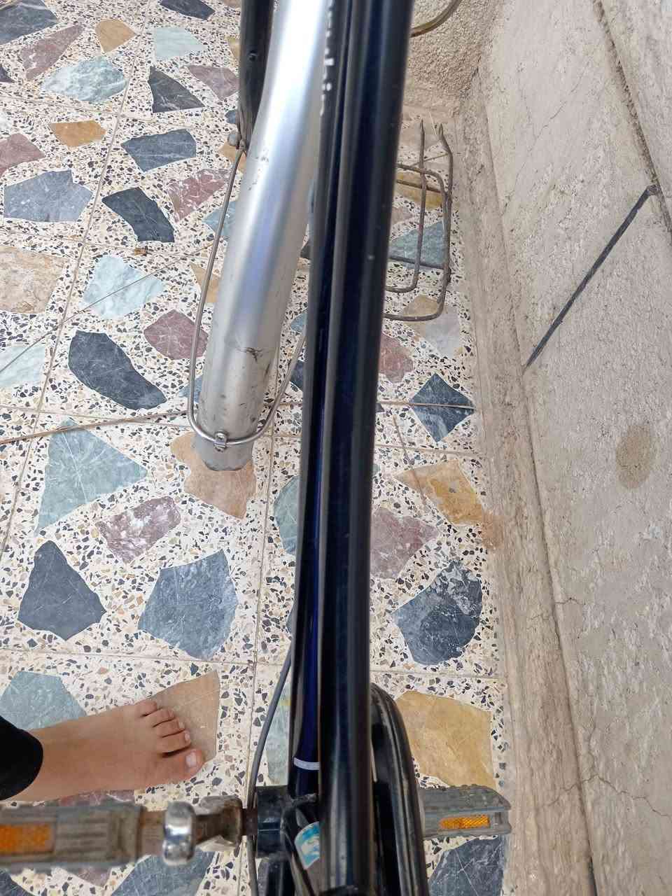 السلام عليكم بيسكل موديل20السعر90قفل مكفول الحجم26 العنوان حي العسكري وحي الحسين  فرع خدمات تفاحه


**إذا كنت صاحب هذا الإعلان وتريد حذفه لأي سبب، رجاءا أرسل رسالة إلى الدعم الفني**