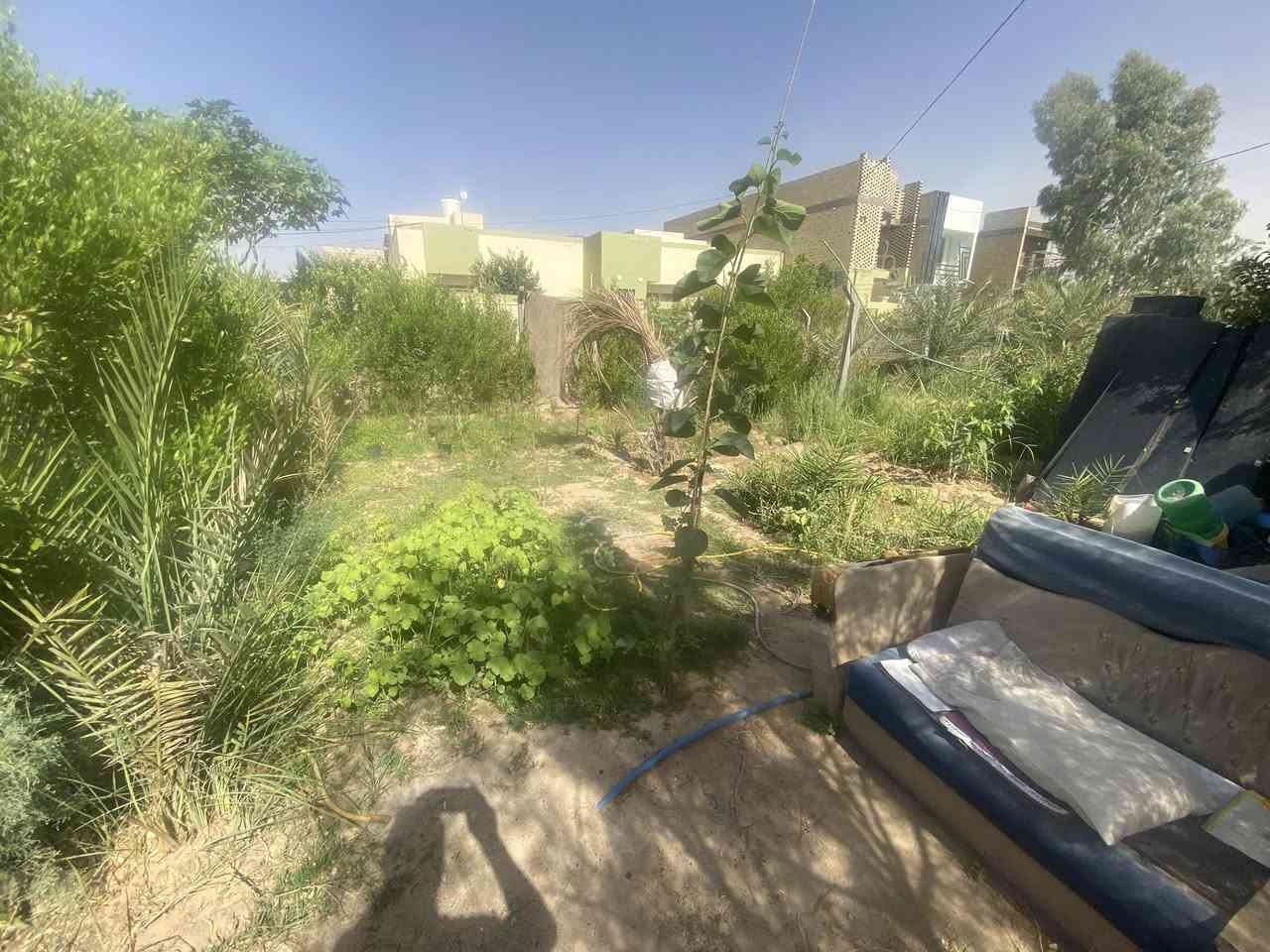 دار سكنية مميزة للبيع - موقع استراتيجي وتجاري ✨
📍 الموقع العام: النجف الأشرف، يربط بين شارع المجمعات وشارع جامعة الكفيل، قريب جداً من شارع المجمعات (حوالي 40 متر فقط).
🔍 تفاصيل ومواصفات الدار:
 المساحة: 200 متر مربع.
 السند: طابو ملك صرف ).
 الشارع الأمامي: يقع على شارع 20 متر تجاري.
 المداخل:
 المدخل الأول: من جهة حسينية الإمام علي (عليه السلام).
 المدخل الثاني: من جهة شارع 60 متر التجاري الرئيسي.
🌳 الميزات الإضافية:
 حديقة خارجية مستقلة: مسيجة بالكامل ومزروعة بأجود أنواع الأشجار (أشجار النخيل، العنب، ومجموعة متنوعة من الأشجار الأخرى) مما يضفي إطلالة خضراء مميزة وهادئة للمكان.
 موقع حيوي: ممتاز للسكن أو الاستثمار نظراً لقربه من الخدمات والشوارع التجارية الرئيسية.
📸 تجدون صور تفاصيل الدار من الداخل والخارج، والحديقة، وإطلالة الشارع مرفقة في المنشور (كما يظهر في image_11.png وحتى image_20.png).
📞 للاستفسار والتواصل:
للمزيد من المعلومات أو لتنسيق موعد للمعاينة، يرجى التواصل عبر الاتصال المباشر أو مراسلتنا على تطبيق الواتساب:***********
