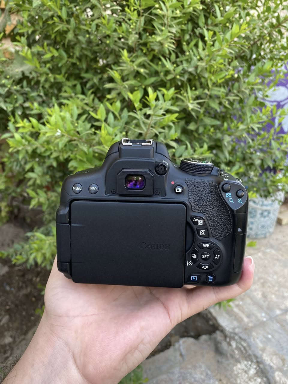 للبيع كامرا كانون 750D الحديثة شاشة لمس قلاب + wifi نضافه موضحة بلصور
ملحقات
عدسه 18-55 استبلايزر مانع اهتزاز
شاحنة
بطاريه
السعر 460 الف وبي مجال للطيبين 
مكان بغداد البنوك 
لايوجد توصيل


**إذا كنت صاحب هذا الإعلان وتريد حذفه لأي سبب، رجاءا أرسل رسالة إلى الدعم الفني**