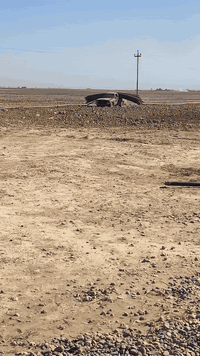 للبيع  بكم موديل ٨٥  كير محرك اكسل شرط فول  السياره شغاله نكره سلف  كش...