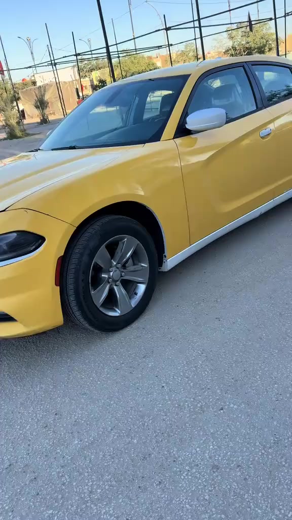 للبيع 👇🏻🔥
السلام عليكم جارجر موديل 17 معلايه21 حادثه 3قطع بدون ضربه بس سرقه نفس القطع مشدودات مكينه وكير وحداديه جاهز من كلشي السعر 165مكان السيار كربلاء المقدسة  خطها بغداد وكربلاء  ملاحضه مكلف بل نشر راعي السياره ***********
