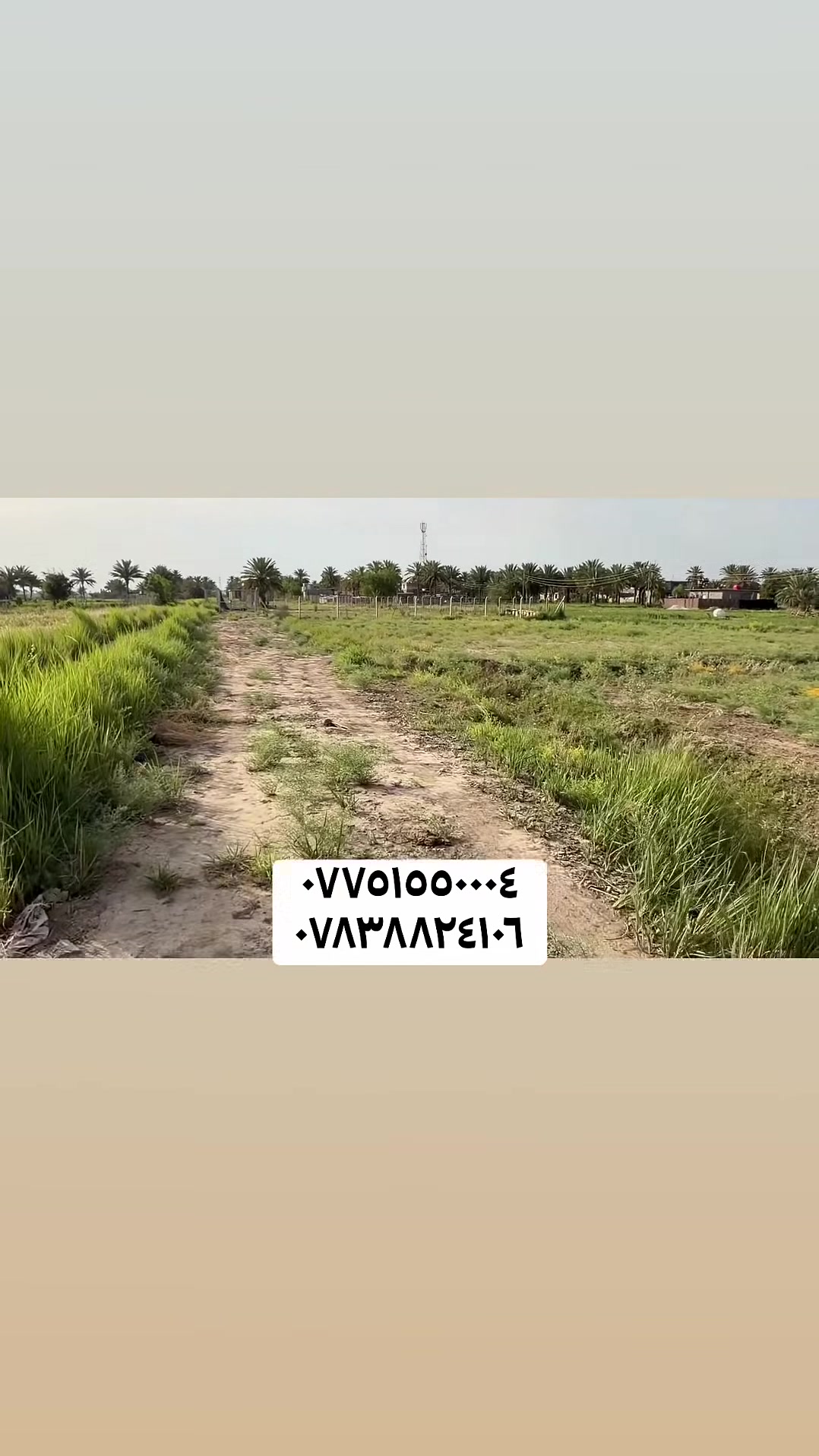 ارض صرف زراعيه للبيع🌱

📐مساحة :دونم ١ 

📜صنف العقار: طابو صرف 

📍الموقع :بابل /منطقة عوفي الگص

متوفر بيها ماء السقي بريمة ارتوازية و اروائي 💧

⸻

📞 للاستفسار والتواصل:
محمد عباس للتسويق العقاري – M/A
***********
*********** 

@#
