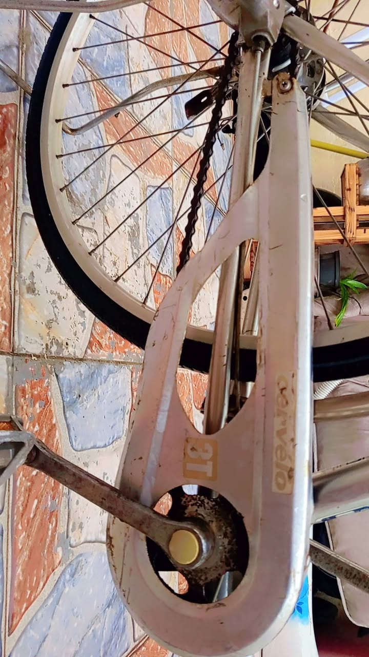 بايسكل ياباني للبيع
زوج تاير جدد
حساس ولايت بلادي 
كير مخفي 3T
قفل بلادي
بريك بالمكان (صچمة)
السعر ٩٠ وبيه مجال
للاستفسار الاتصال او مراسلة الواتساب على الرقم التالي 
***********
