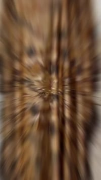 🔥 عرض حصري – خصم  لفترة محدودة 🔥 فرصتك تقتنين قطعة فخمة بسعر مميز قبل ...