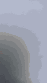 دراجة منغولي • مع سلة • كربلاء فريحه