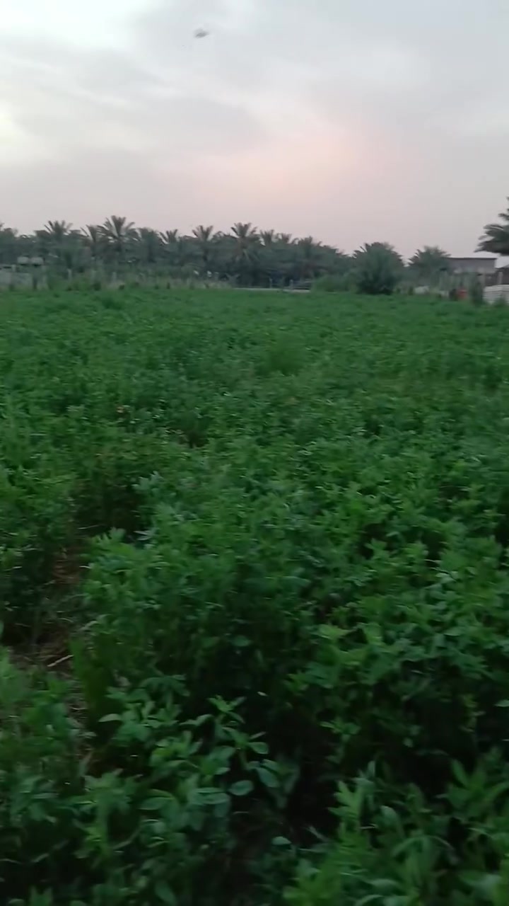 للبيــــــــــع 1 دونم طابو 25
بغداد المدائن قرب شارع سيد علي 
منطقة الجعاره
للعلم واجهات اثنين شارع امامي وخلفي
يبعد عن الشارع العام 500متر
خدمات كامله ماء كهرباء  تبليط كافه الخدمات 
للاستفسار الاتصال ***********

#عقارات_بغداد_المدائن
