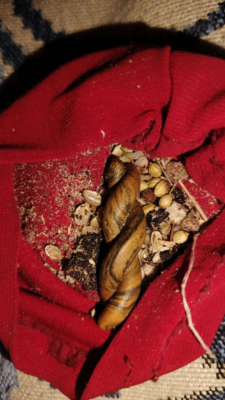 عرك سويحل ابن عن جد متوازي ع بيعه عمليه زرع كله للوالد فقط الجاد واليعرف سعره تفضل خاص


**إذا كنت صاحب هذا الإعلان وتريد حذفه لأي سبب، رجاءا أرسل رسالة إلى الدعم الفني**