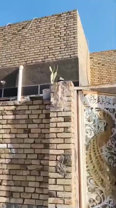 بيت للبيع في حي الزهراء ع ماشوشه سابقا المساحه ٢٠٠ بناء حديث اتصل على ***********
