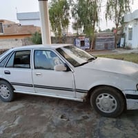 برنس • ١٩٩٥ • مكفولة