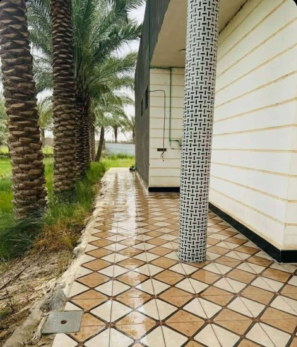 🏡 عـرض مـمـيـز ولأصـحـاب الـفـخـامـة: بـيـت حـديـث + مـشـتـمـل + دونـم أرض لـلـبـيـع ✨

​لكل من يبحث عن الاستقرار، المساحة الواسعة، والاستثمار المضمون، متوفر الآن عقار متكامل بمواصفات ممتازة وموقع مخدوم بالكامل في بابل.

​📍 الموقع والخدمات

​الموقع: بابل - القاسم (ع) - شارع الطابو (قريب من مدرسة الشهيد المنتظر).

​نوع الملكية: طابو سند (25) جاهز للتحويل الفوري.

​الخدمات: منطقة مخدومة بالكامل (ماء + كهرباء مستقرة).

​💰 الـسـعـر

​السعر المطلوب: 155 مليون دينار عراقي (قابل للتفاوض بنسبة قليلة للجادين).

​📊 تفاصيل العقار والمواصفات

​1️⃣ البيت الرئيسي (بناء حديث 2020):

​المساحة: 350 متر مربع.

​نوع البناء: درجة أولى (صب كونكريت).

​التصميم الداخلي: 3 غرف نوم + صالة واسعة + استقبال + مطبخ + بيتونة كبيرة + صحيات (داخلية وخارجية).

​الخارج: طارمة كبيرة جداً + كراج واسع للسيارة.

​2️⃣ المشتمل الصغير (ملحق مع البيت):

​المحتويات: غرفة نوم + صالة + مطبخ + صحيات (مثالي للسكن المستقل أو لاستضافة الضيوف).

​3️⃣ الأرض التابعة للعقار:

​المساحة: دونم كامل (أرض زراعية مضافة للعقار)، تمنحك مساحة واسعة وممتازة للاستثمار، الزراعة، أو التوسع المستقبلي.


**إذا كنت صاحب هذا الإعلان وتريد حذفه لأي سبب، رجاءا أرسل رسالة إلى الدعم الفني**