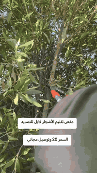 مقص تقليم الأشجار قابل للتمديد السعر 20 الف وتوصيل مجاني الحجز وات ساب...
