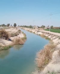 ٤ دوانم • طابو زراعي • تاجي سبع البور