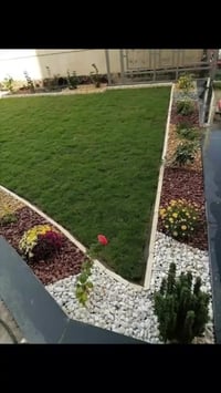 يوجد انواع ثيل الطبيعي لجميع المحافضات #07853046449#