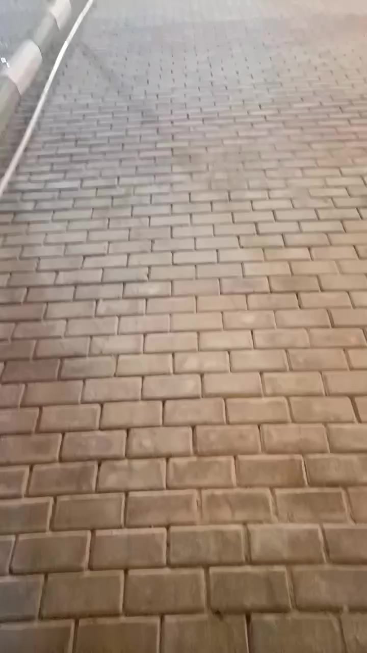 ‬‏يوجد خدمت توصيل لجميع المحافظات ويوجد كادر لتجهيز الحدائق لطلب ولستفتار التصال على الرقم أو مراسلت الصفحه ***********👈***********
