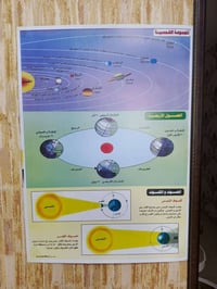 للجميع • ديكور منزلي • أغراض منزلية