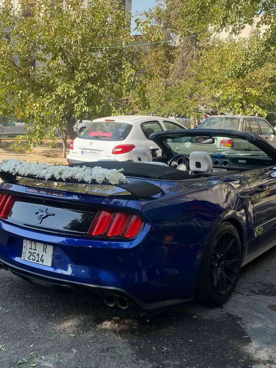 السلام عليكم عيد مبارك عليكم موستنك 2016 كشف رقم بغداد باسمي تحويل ثاني يوم السياره بيه صبغ اقل الحزام اني ابيعلك حزام بدون شواصي  سياره حلوه وجديده محرك 6 سلندر المرغوب مراوس او بيع مكاني بابل 
للاستفسار ***********
