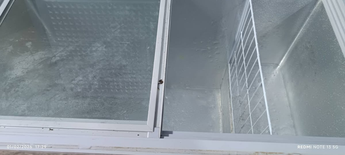 مجمدة النظافة 100بل100شغالة ومكفولة. السعر 200وبيه مجال قليل للاستفسار الاتصال على*********** ابو امير
