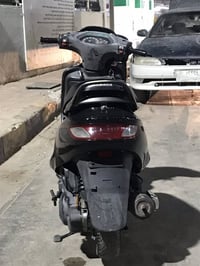 فراشه • اسبوعين • الرمبه