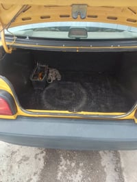 سايبه 213 مصفره هيهه وغرامات بيهه ضربه بل جاملغ الخلفي مصبوغه حزام الش...