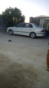 ماكينة حلوة • أوراق • النجف