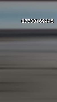 07738169445  وتساب