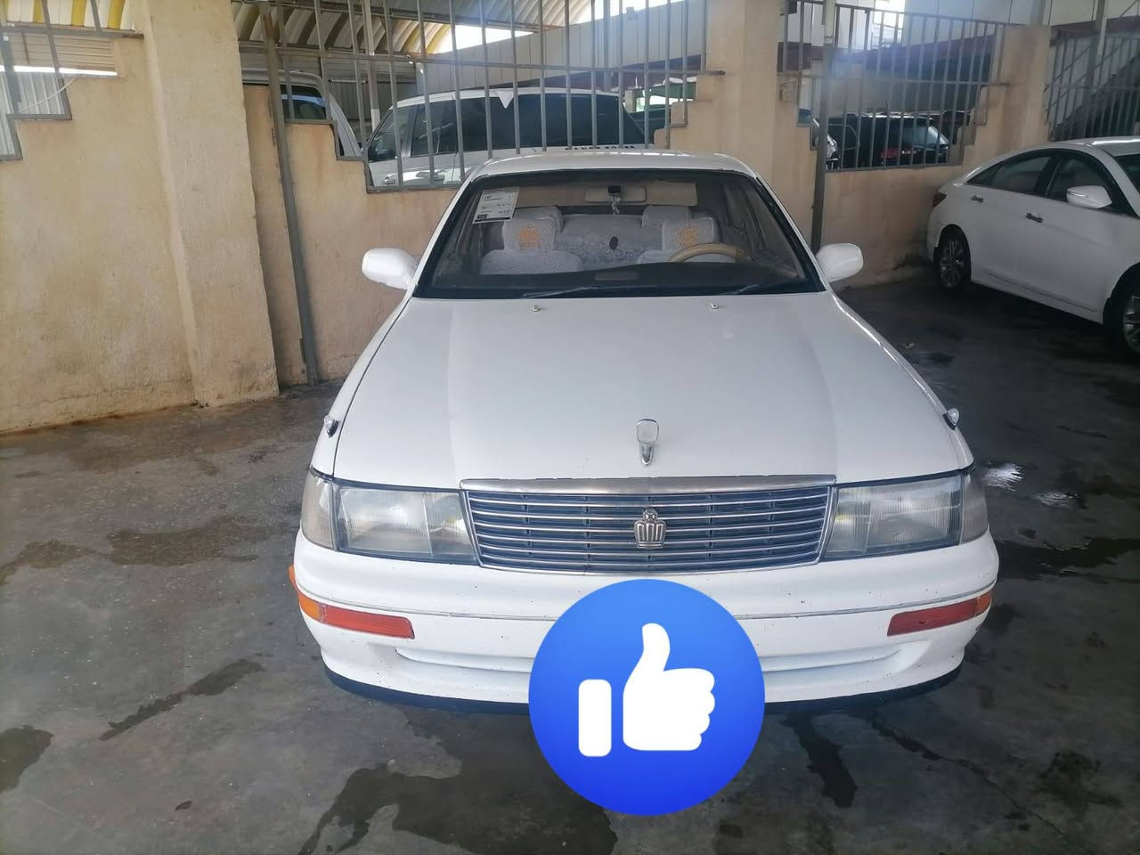 سلام عليكم بطه 
موديل 1992 محرك 2500 جديد تبريد شغال حداديه جديده مكفوله من الكص سيار مكفوله من صبغ بيه جامرلغ خلفي فقط رقم صلاح الدين تحويل ثاني يوم مكان السيارة الدجيل السعر 55 التواصل على هاتف ***********
