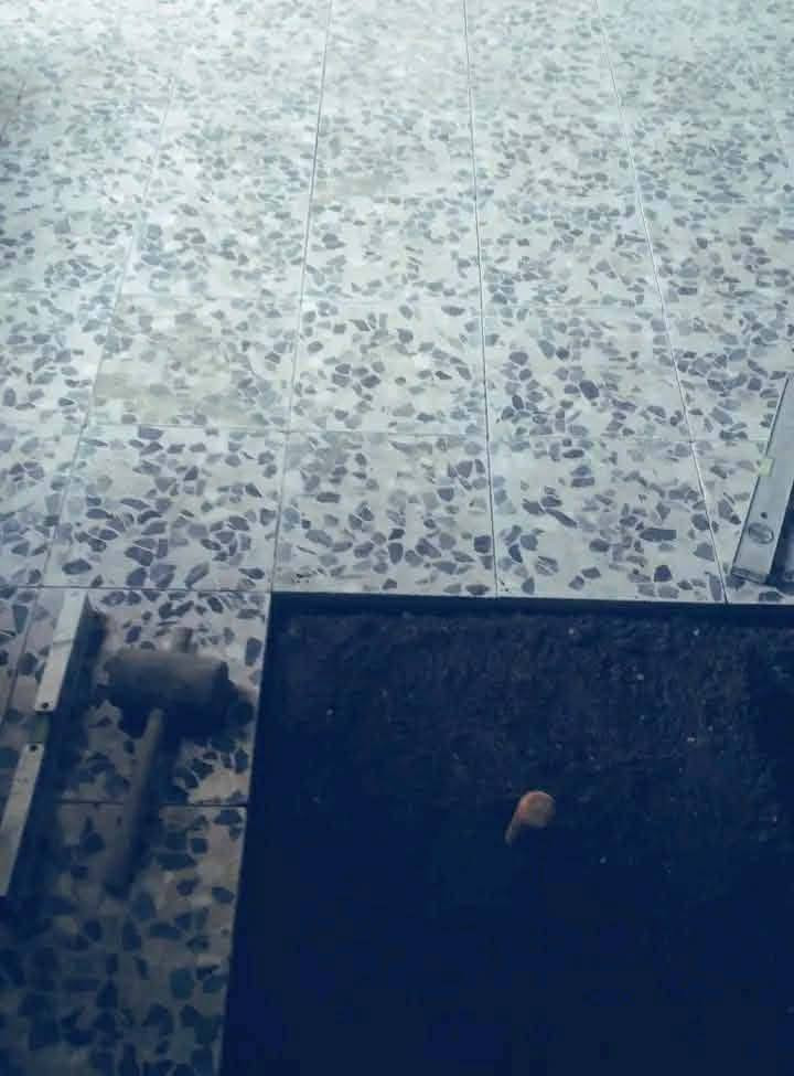 جزه من عمالنا انشالله ينال عجابكم
تخريج بوب اوشبابيك 
على المتر 
كرسته اوعمل 
*********** وتساب اتصال 
*********** اتصال
