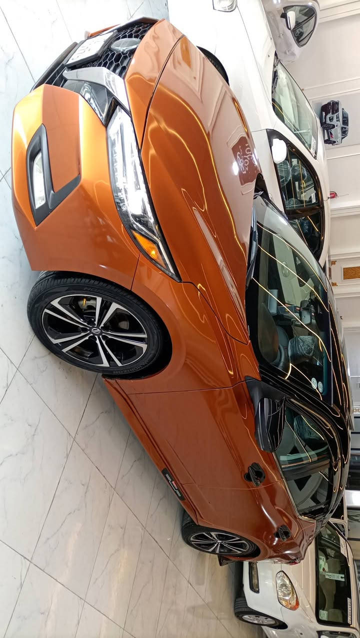 سنترا 2021 بلا صبغ فول الفول هزة وسنوية ورقم كلا جديد السعر 140 للاتصال *********** / ***********
